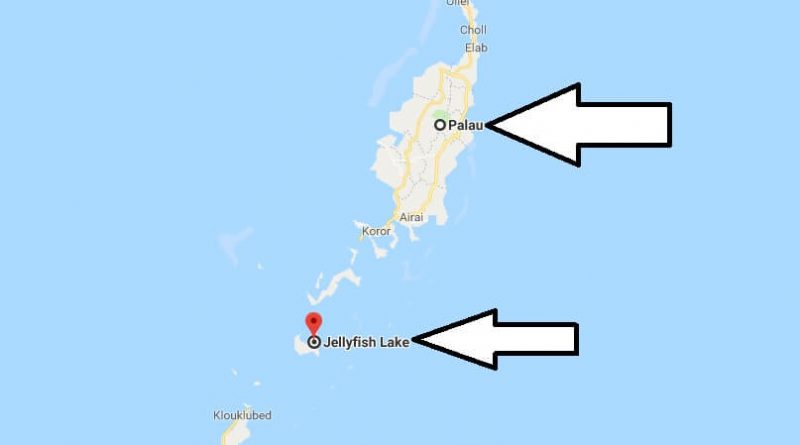 Where is Jellyfish Lake? What Country is Jellyfish Lake in? Jellyfish Lake Map