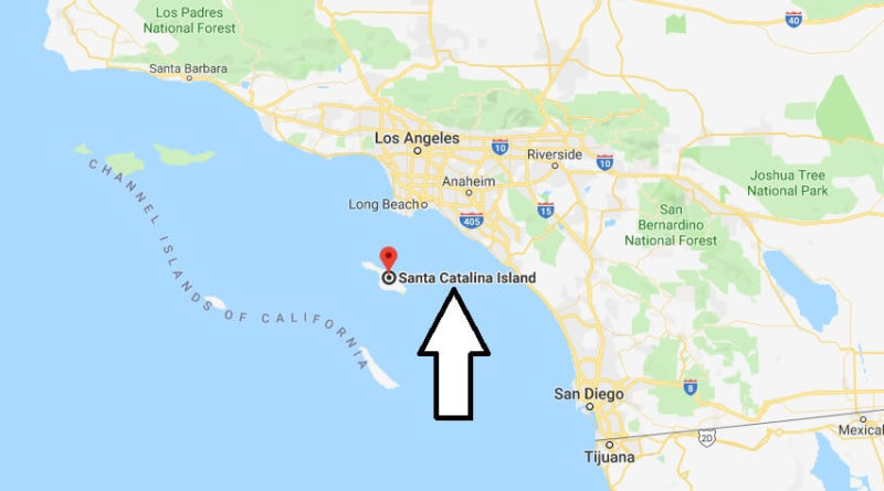 Where Is Catalina Island Located Map Where is Santa Catalina Island? How do you get to Catalina Island 
