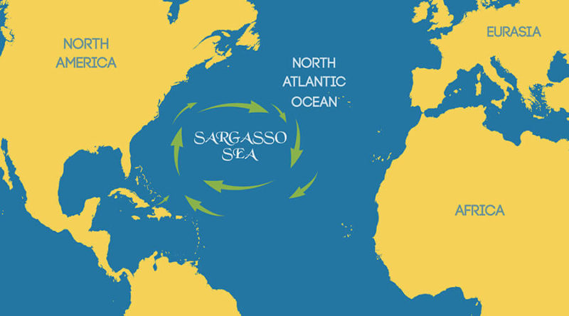 Where is Sargasso Sea - Are there any islands in the Sargasso Sea