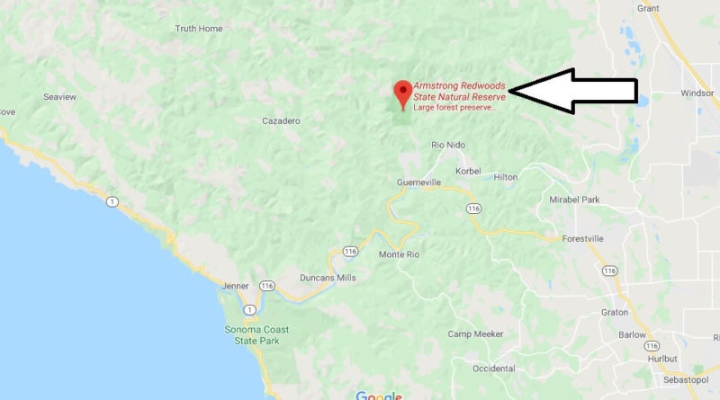 Where is Armstrong Redwoods State Natural Reserve? Is Armstrong Woods open?
