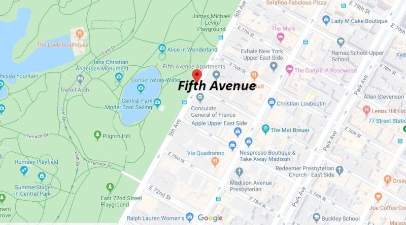 Where is Fifth Avenue? Where can you go on 5th Avenue?