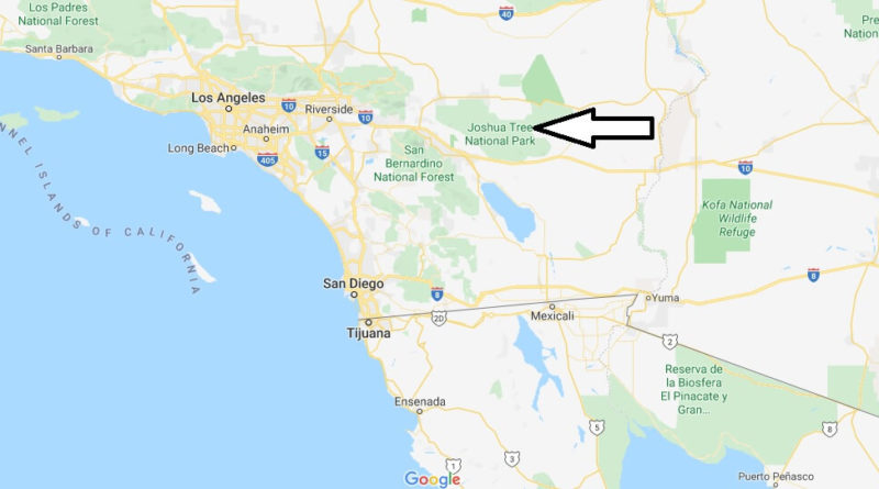 Where is Joshua Tree National Park? What city is Joshua Tree National Park in?