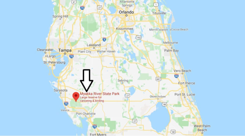 Where is Myakka River State Park? How much does it cost to get into Myakka State Park?