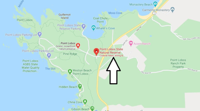 Where is Point Lobos State Reserve? How do you get to Point Lobos State Reserve?