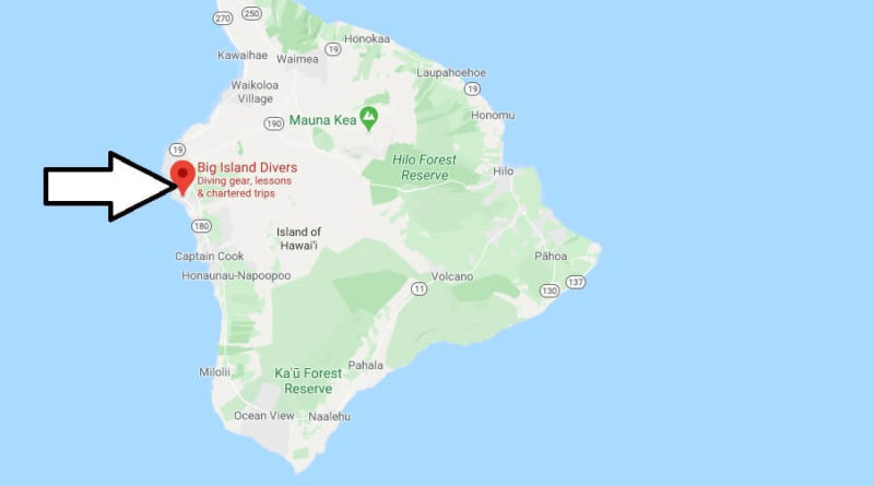 Where is Big Island Divers? Where can I see manta rays in Kona?