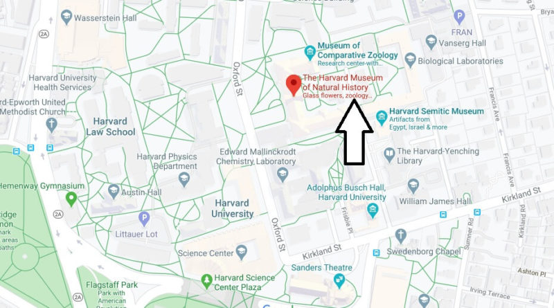 Where is Harvard Museum of Natural History? How do you get to Harvard Natural History Museum?