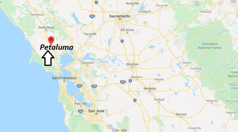 Where is Petaluma, California? What county is Petaluma in? Petaluma Map