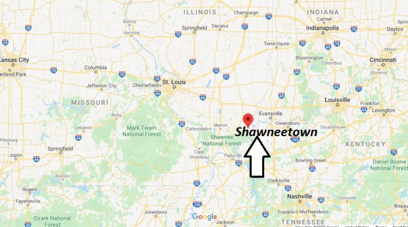 Where is Shawneetown, Illinois? What county is Shawneetown in? Shawneetown Map