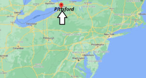Where is Orchard Park Located
