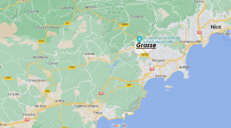 Where is Grasse France