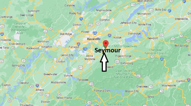 Where is Seymour Tennessee