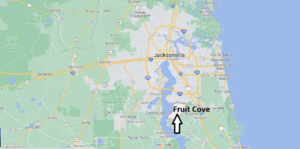 Where is Fruit Cove Florida