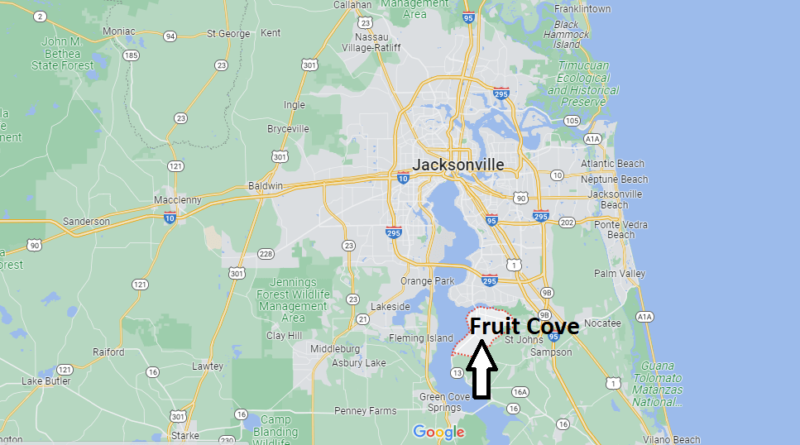 Where is Fruit Cove Florida