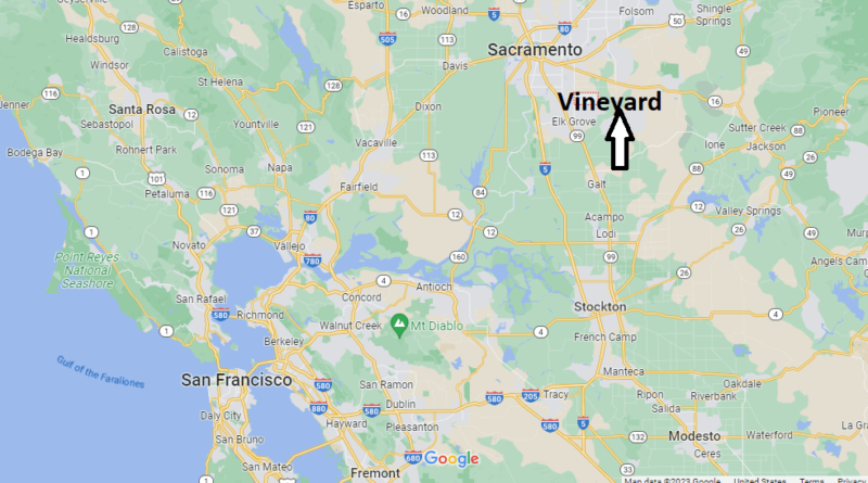 Where is Vineyard California