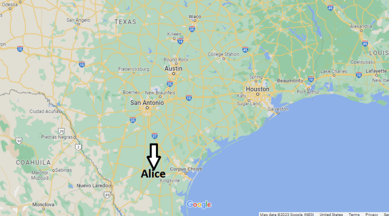 Where is Alice Texas