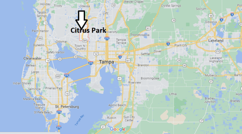 Where is Citrus Park Florida