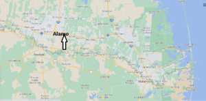 Where is Alamo Texas
