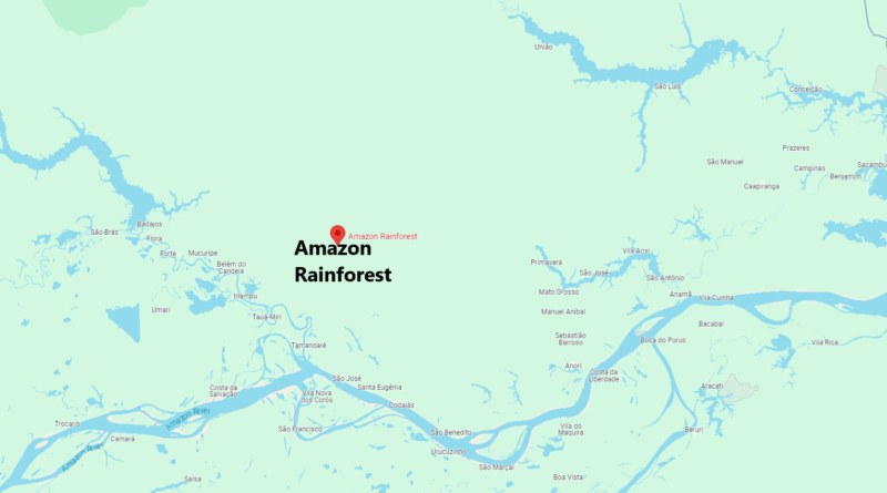 Amazon Rainforest